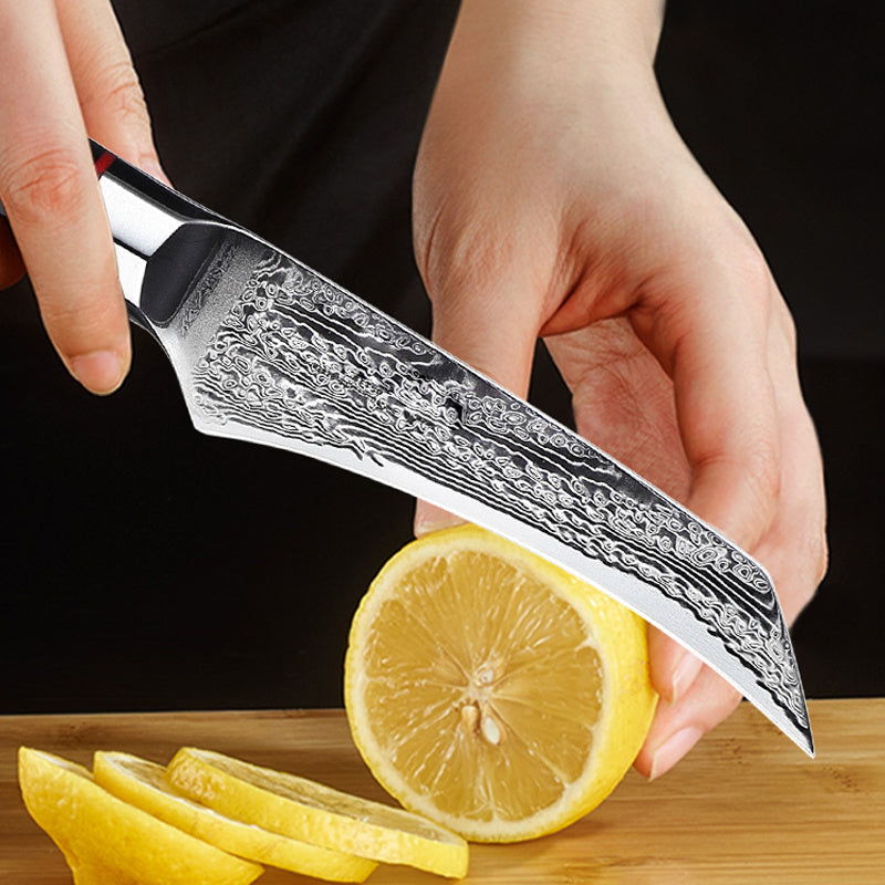 Japanese Damascus Steel Kitchen Fruit Knife - AUS10 Blade with G10 Octagonal Handle